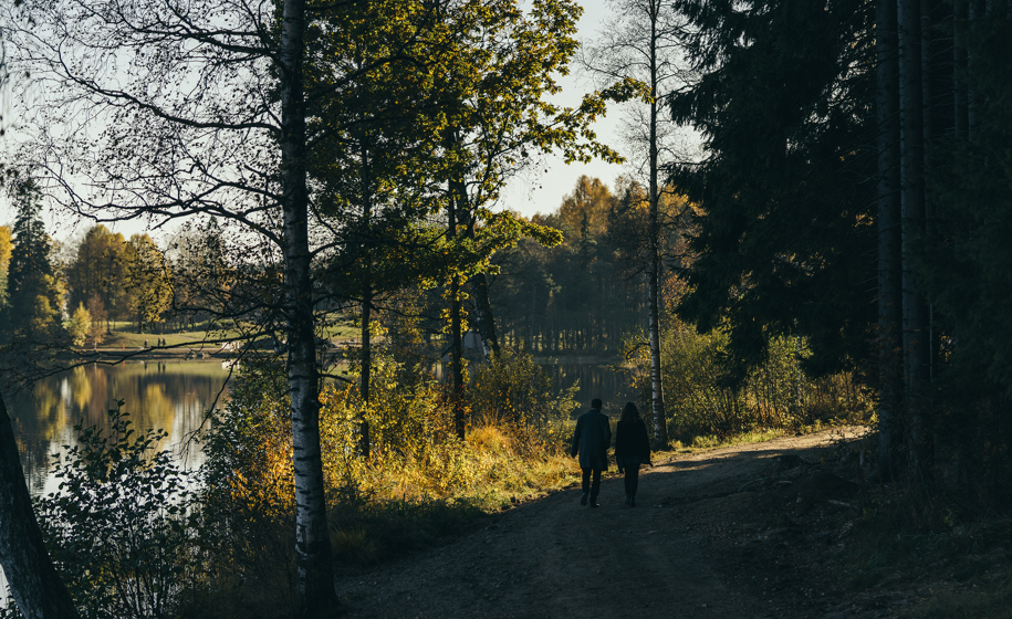 Menneske på sti i skog naturbilder 3