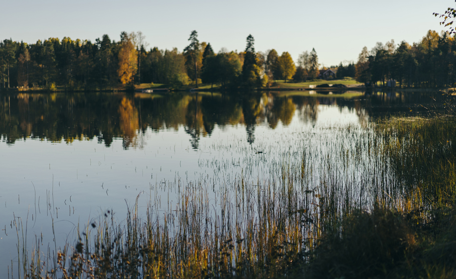 Innsjø naturbilder 2