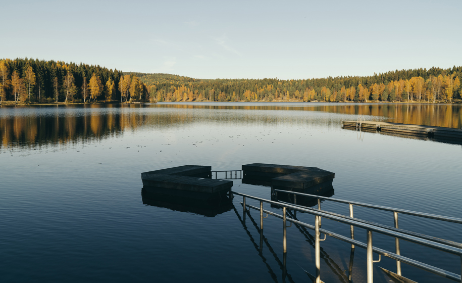 Brygge i innsjø naturbilder 1