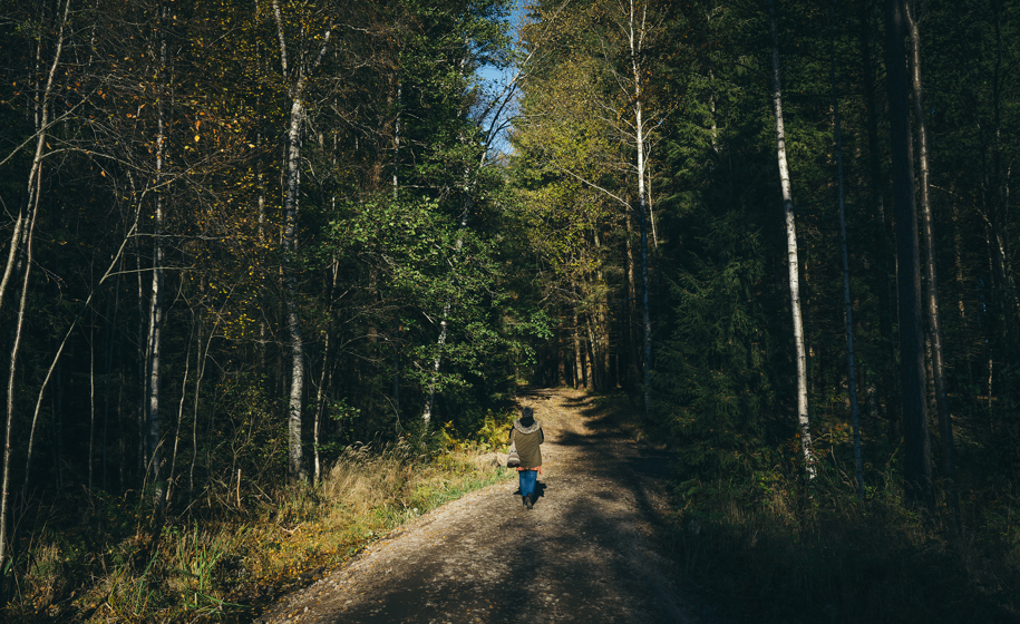 Menneske på sti i skog naturbilder 1