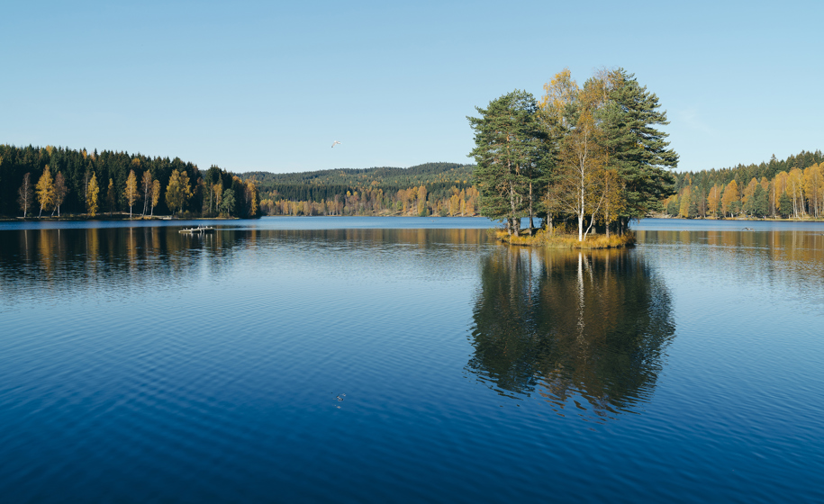 Innsjø naturbilder 1